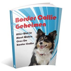 Border Collie handboek