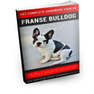 Franse Bulldog handboek