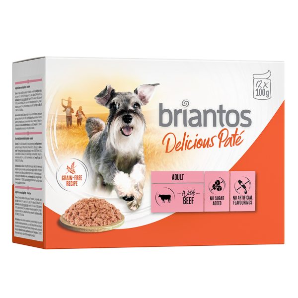 48x100g Briantos Delicious Pate Rund Honden Natvoer