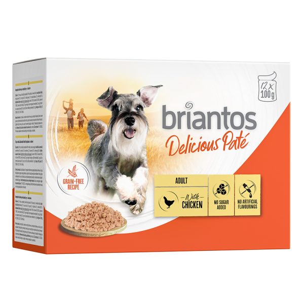 48x100g Briantos Delicious Pate Kip Honden Natvoer