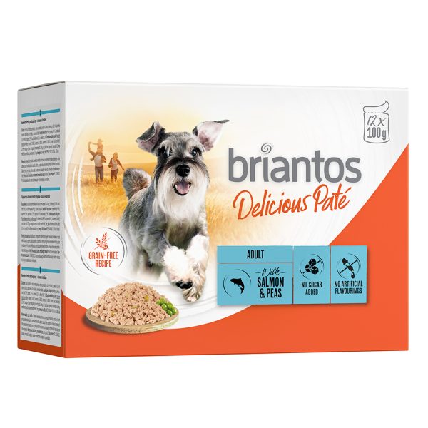 48x100g Briantos Delicious Pate Zalm Honden Natvoer