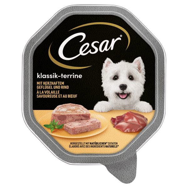 Cesar Multipack Hondenvoer 14 x 150 g - Klassik-Terrine met Gevogelte en Rund