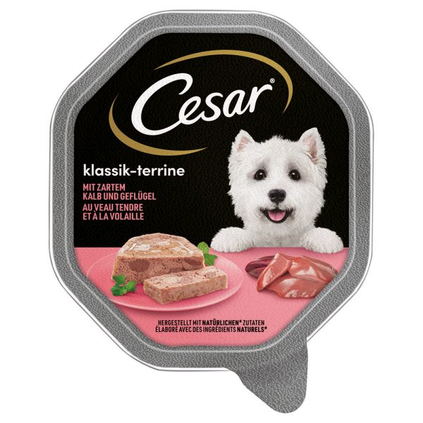 Cesar Multipack Hondenvoer 14 x 150 g - Klassiek-Terrine met Kalf & Gevogelte