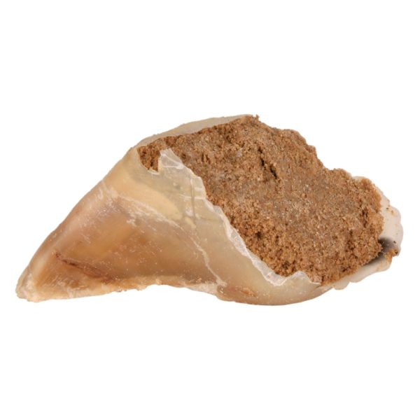 10x115g Kauwhoef met Vleespastei Trixie Hondensnacks