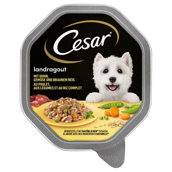 Cesar Multipack Hondenvoer 14 x 150 g - Landragout met Kip, Groenten & Bruine Rijst