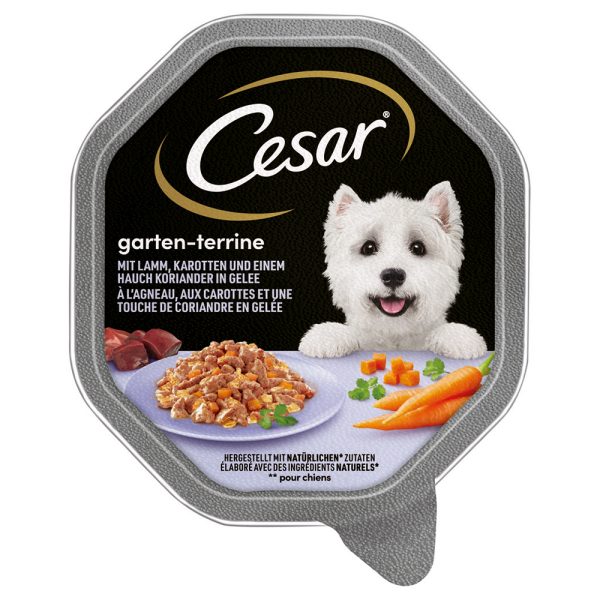 Cesar Multipack Hondenvoer 14 x 150 g - Lam, Wortel & Koriander in Gelei