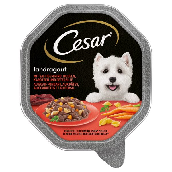 Cesar Multipack Hondenvoer 14 x 150 g - Landragout met Rund, Noedels & Wortel