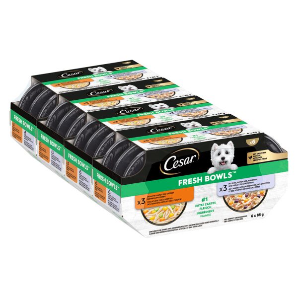 Voordeelpakket: 48x85g Cesar Verse Schalen Kip & Eend in saus natvoer voor honden