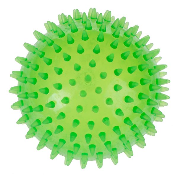 2 Stuks TPR Spiky Bal Large Hondenspeelgoed