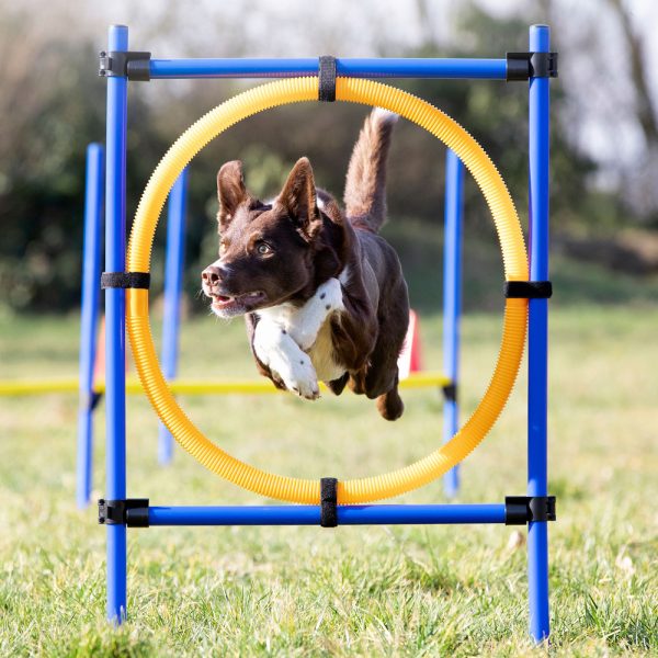 TRIXIE Fun-Agility Hoepel set