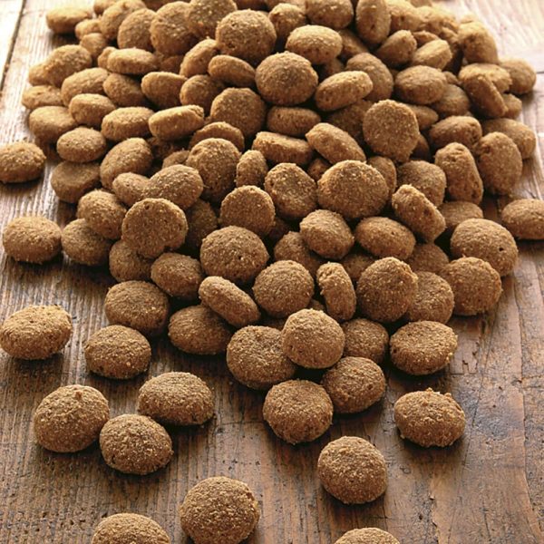 alsa-nature Actief Speciaal Eiwit, 6 kg
