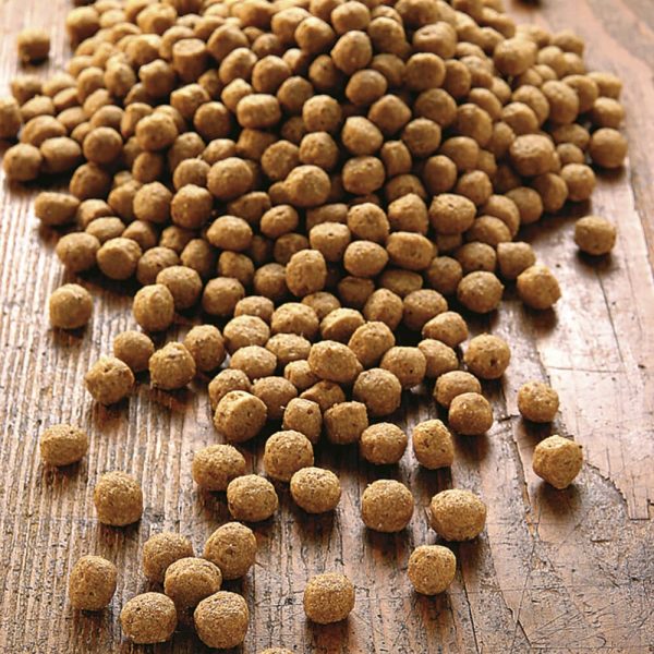 alsa-nature Puppy en Junior, 2 x 12 kg