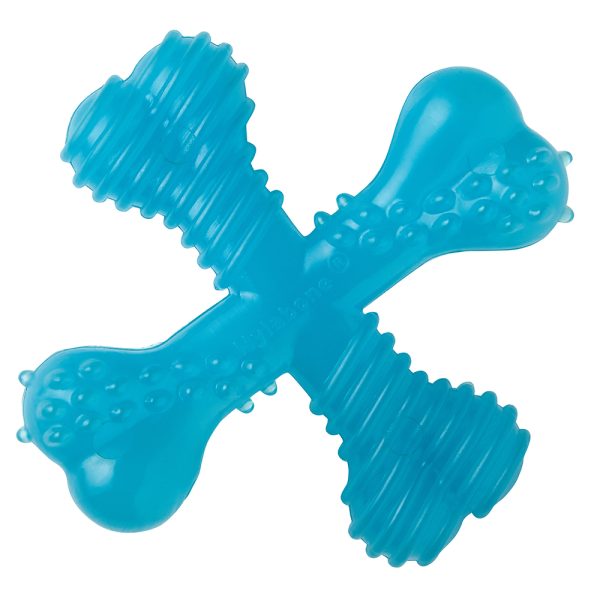 Nylabone Puppy X-Bone Kauwspeelgoed L9xB9x3,5cm