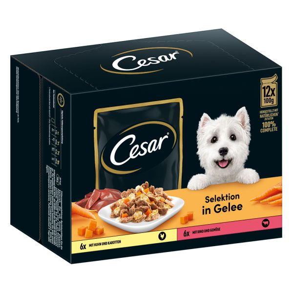 96x 100g Cesar Selektion Fleisch und Gemüse in Gelee Hundefutter nass