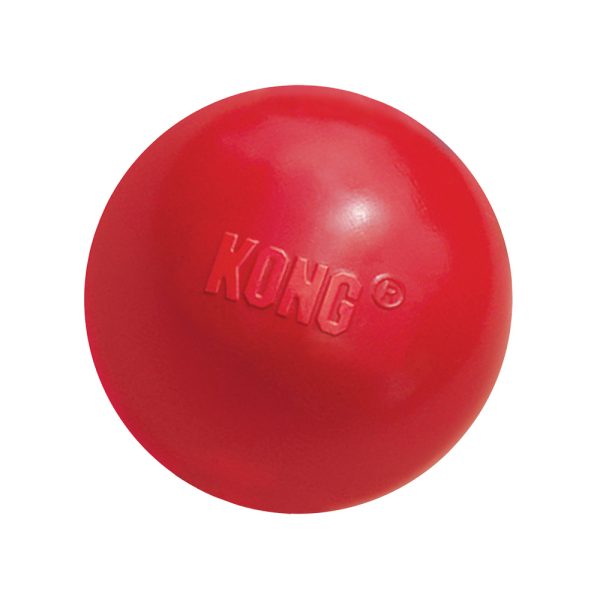 KONG Snackbal met Gat S Ø6cm