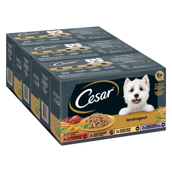 48x150g Country Kitchen Cesar Hondenvoer