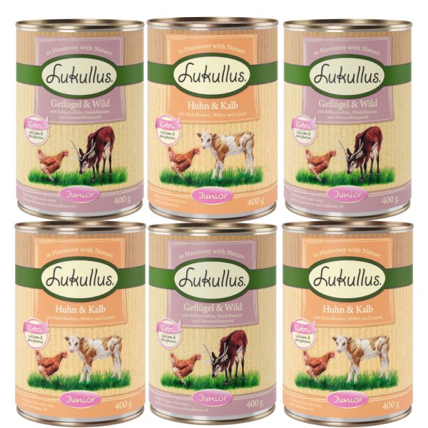 Lukullus Junior Mixpakket - 6 x 400 g