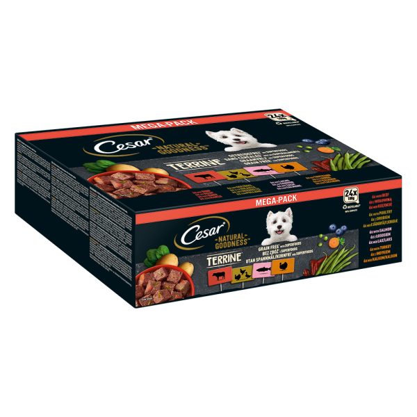 24x 100 g Cesar Natural Goodness Graanvrij met Superfoods Terrine Mix (gevogelte, kalkoen, rund, zalm) natvoer voor honden