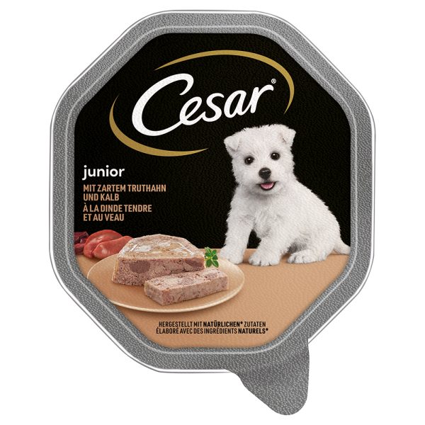28x150g Cesar Junior Kuipje met kalkoen en kalfsvlees natvoer voor honden