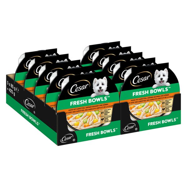 Voordeelpakket: 20x85g Cesar Fresh Bowls kip in saus natvoer voor honden