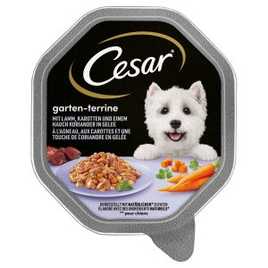 Cesar Multipack Hondenvoer 14 x 150 g - Lam, Wortel & Koriander in Gelei