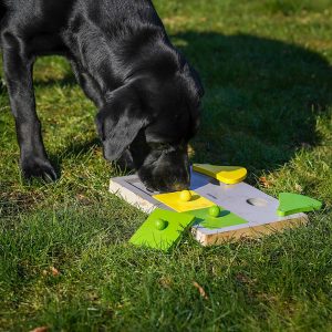 Interactief speelgoed Cake, grijs-groen-geel