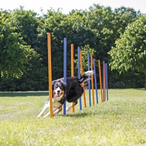 TRIXIE Agility-Slalomstangen Fun Agility, blauw/oranje