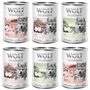 Wolf of Wilderness Junior 'Expedition' 6 x 400 g