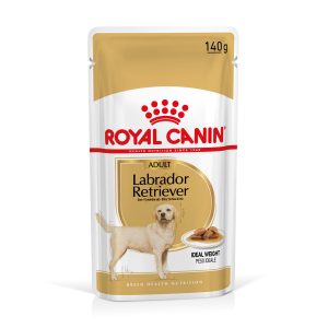 40x140g Labrador Retriever Adult Royal Canin Hondenvoer