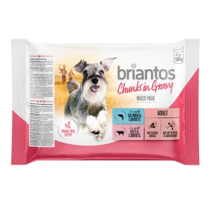 48x100g (Zalm & Rund) Briantos Chunks in Gravy honden natvoer