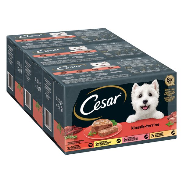 96x150g Cesar Classic Terrine Hondenvoer
