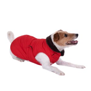 60 cm Ruglengte Hondenjas Gewatteerd Rood
